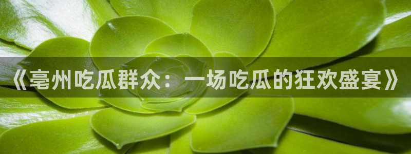 顶流男星被曝隐瞒婚史，前妻晒出聊天记录实锤