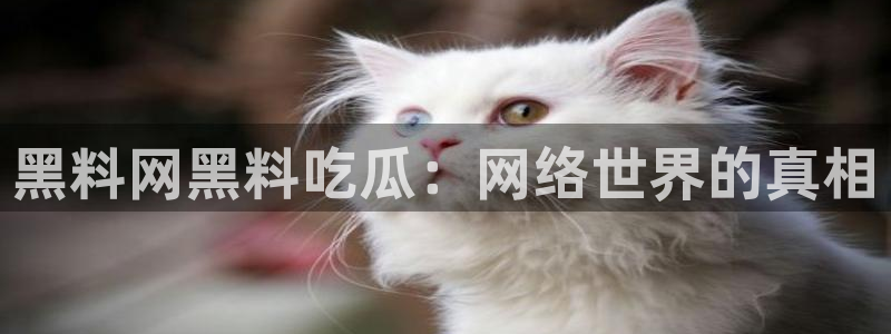 顶流男星被曝隐瞒婚史，前妻晒出聊天记录实锤