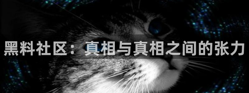 顶流男星被曝隐瞒婚史，前妻晒出聊天记录实锤