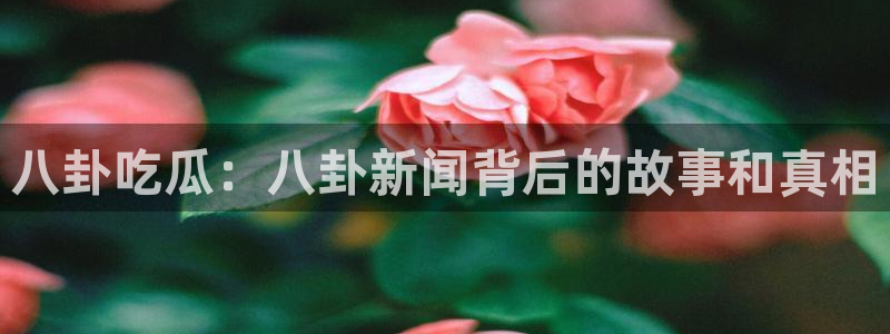 顶流男星被曝隐瞒婚史，前妻晒出聊天记录实锤