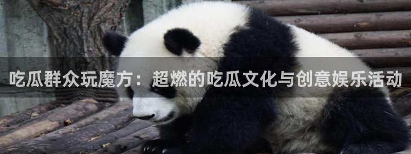 顶流男星被曝隐瞒婚史，前妻晒出聊天记录实锤